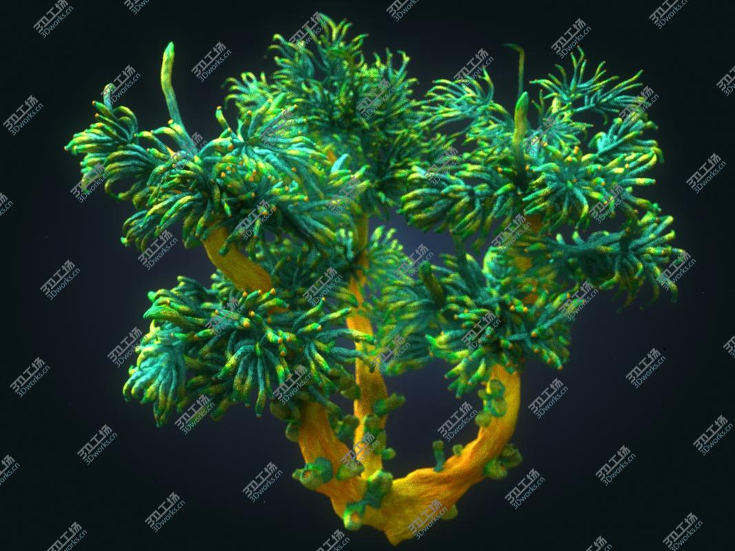 images/goods_img/202104091/3D Coral reef plants Animated Pack 10/3.jpg